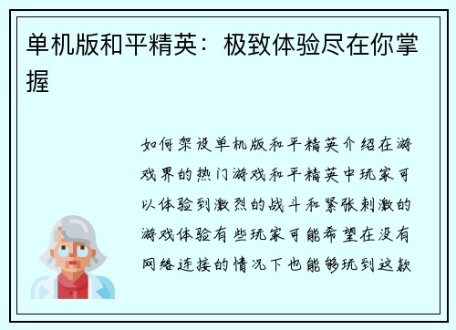 单机版和平精英：极致体验尽在你掌握